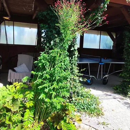 Nad Stawem Mazury D3 別荘 *